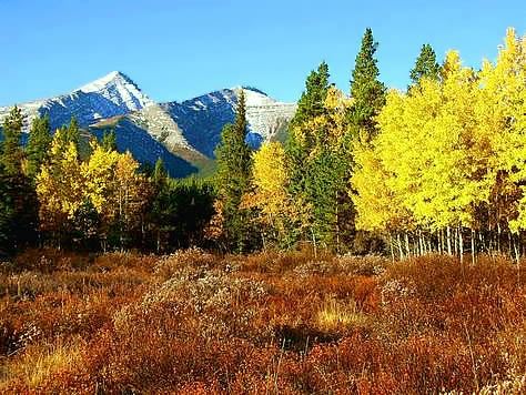 Don't Miss the Maples: Fall Getaways to Canada Photo