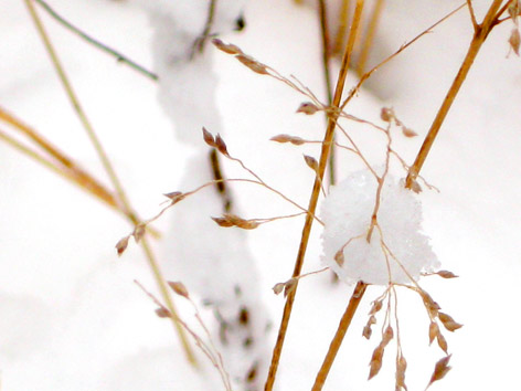 Wind and Waves: Montauk in Winter Photo